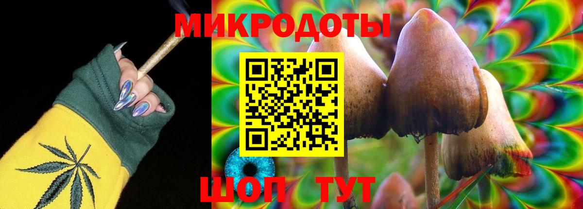 Галлюциногенные грибы мицелий Дербент