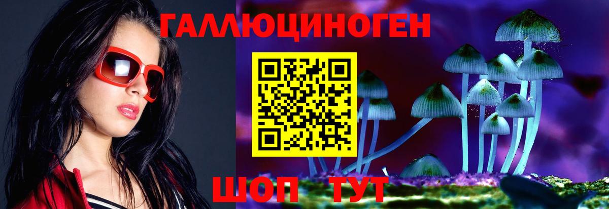 Дербент  Псилоцибиновые грибы GOLDEN TEACHER  Вход с VPN  Псилоцибиновые грибы Magic Shrooms 